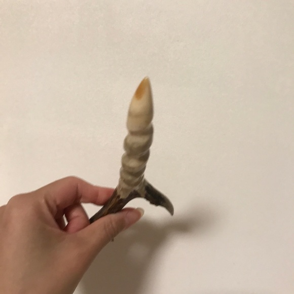 Roe deer antler twisted hair stick - Hand-carved - Picture 9 of 9